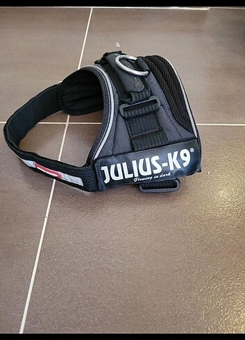 Julius k9