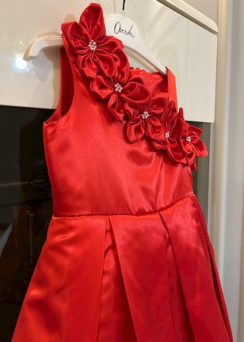 Kırmızı Nakışlı Kolsuz Kız Çocuk Elbise - Görsel 5