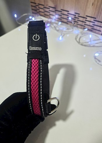 Pembe Köpek Boyun Tasması LED Işıklı Romeo - Görsel 4