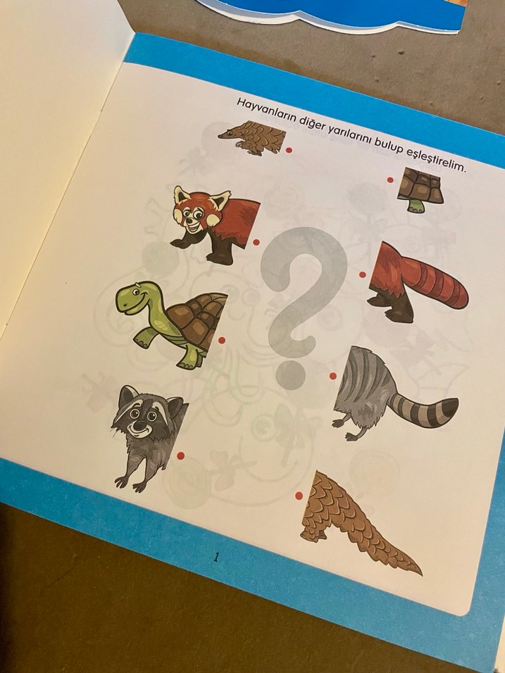 Tiny Kitap 4 Yaş Çocuklar İçin Eğitici Kitap Seti 6'lı - Görsel 3