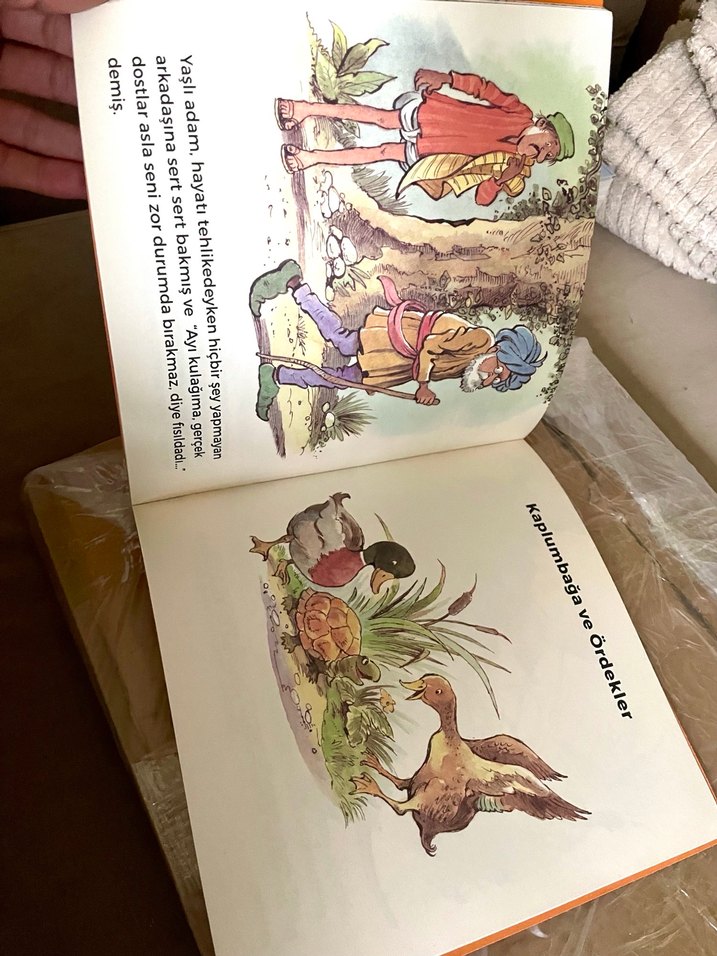 Ezop Masalları: Ayı ve Yolcular - Görsel 4