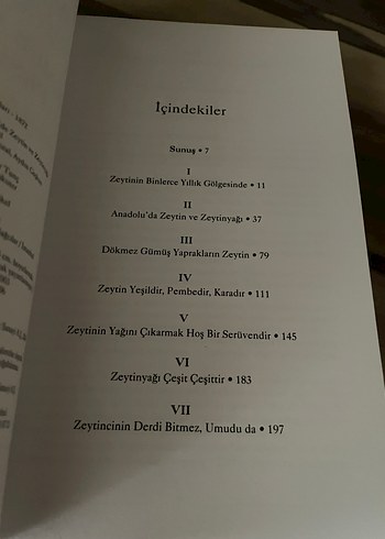 Ölmez Ağacın Peşinde - Artun Ünsal - Görsel 5