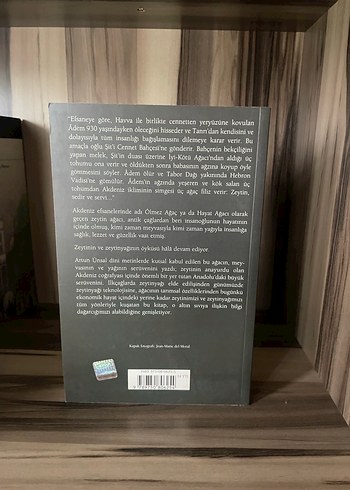 Ölmez Ağacın Peşinde - Artun Ünsal - Görsel 2