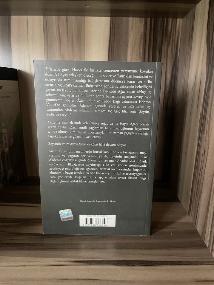 Ölmez Ağacın Peşinde - Artun Ünsal - Görsel 2