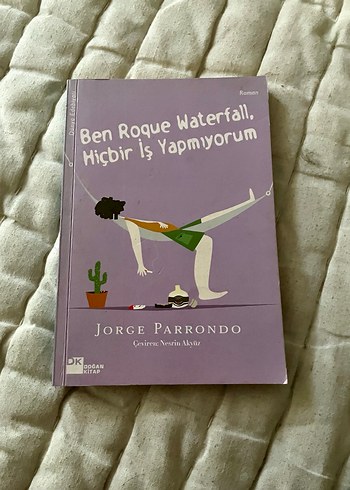 Ben Roque Waterfall , Hiçbir İş Yapmıyorum
