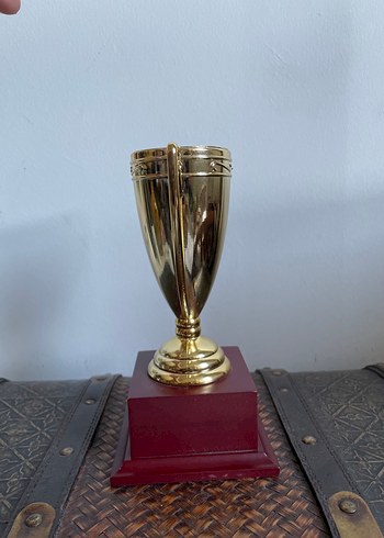 Beden altın Renk Dekoratif Şampiyon Kupası 18 cm