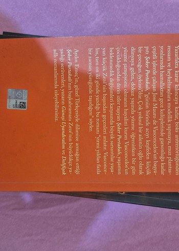 Şeker Portakalı - José Mauro de Vasconcelos - Görsel 2