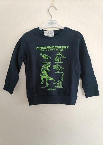 Lcw Erkek Çocuk Dinazor Baskılı Sweatshirt - Görsel 6