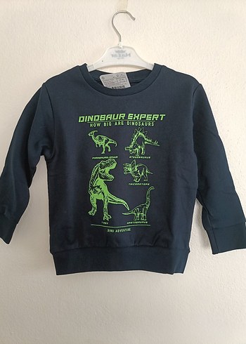 Lcw Erkek Çocuk Dinazor Baskılı Sweatshirt - Görsel 4