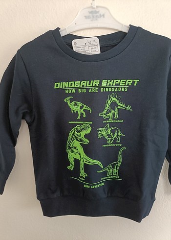 Lcw Erkek Çocuk Dinazor Baskılı Sweatshirt - Görsel 3