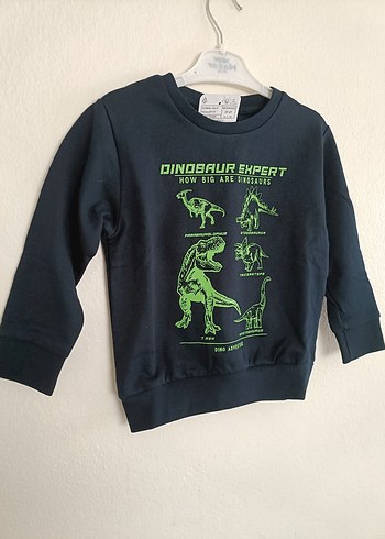 Lcw Erkek Çocuk Dinazor Baskılı Sweatshirt - Görsel 5