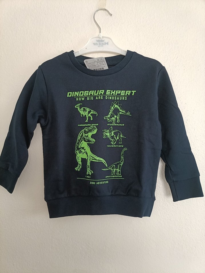 Lcw Erkek Çocuk Dinazor Baskılı Sweatshirt - Görsel 4