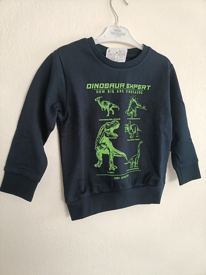 Lcw Erkek Çocuk Dinazor Baskılı Sweatshirt - Görsel 5