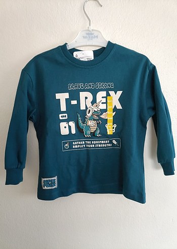 Lcw Petrol Yeşil Erkek Çocuk Baskılı Sweatshirt - Görsel 4