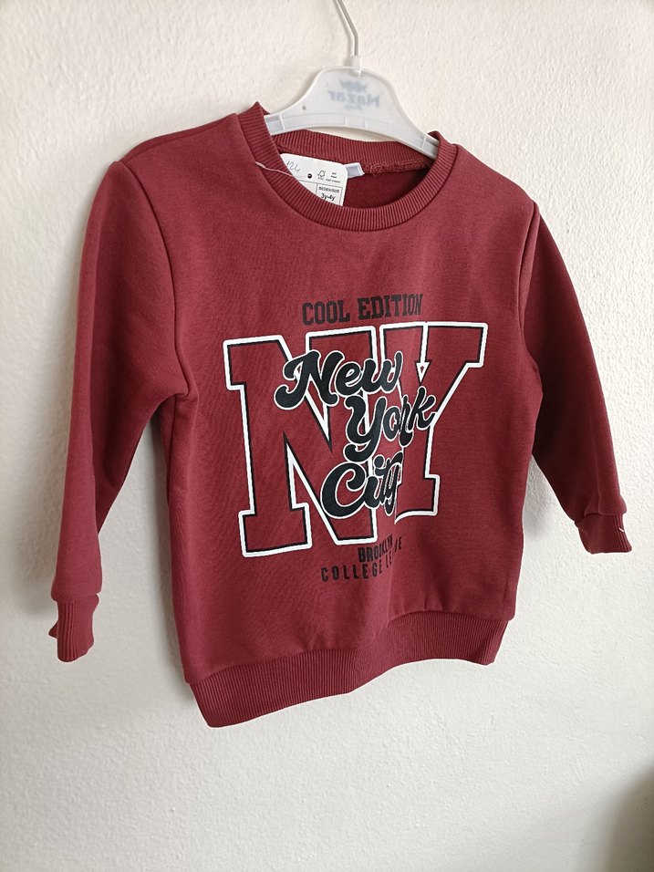 Lcw Bordo Erkek Çocuk Uzun Kollu Sweatshirt - Görsel 3