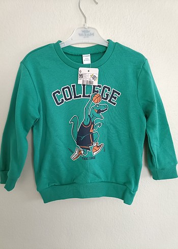 Lcw Erkek Çocuk Yeşil Baskılı Sweatshirt - Görsel 4