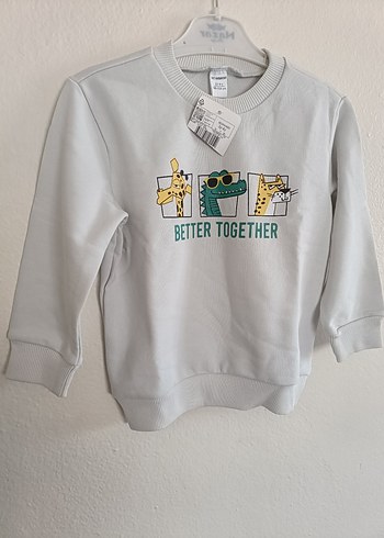 Lcw Gri Baskılı Erkek Çocuk Sweatshirt - Görsel 3