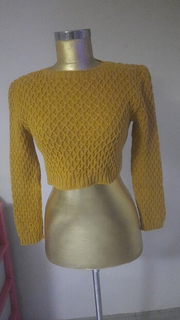 #moda crop
