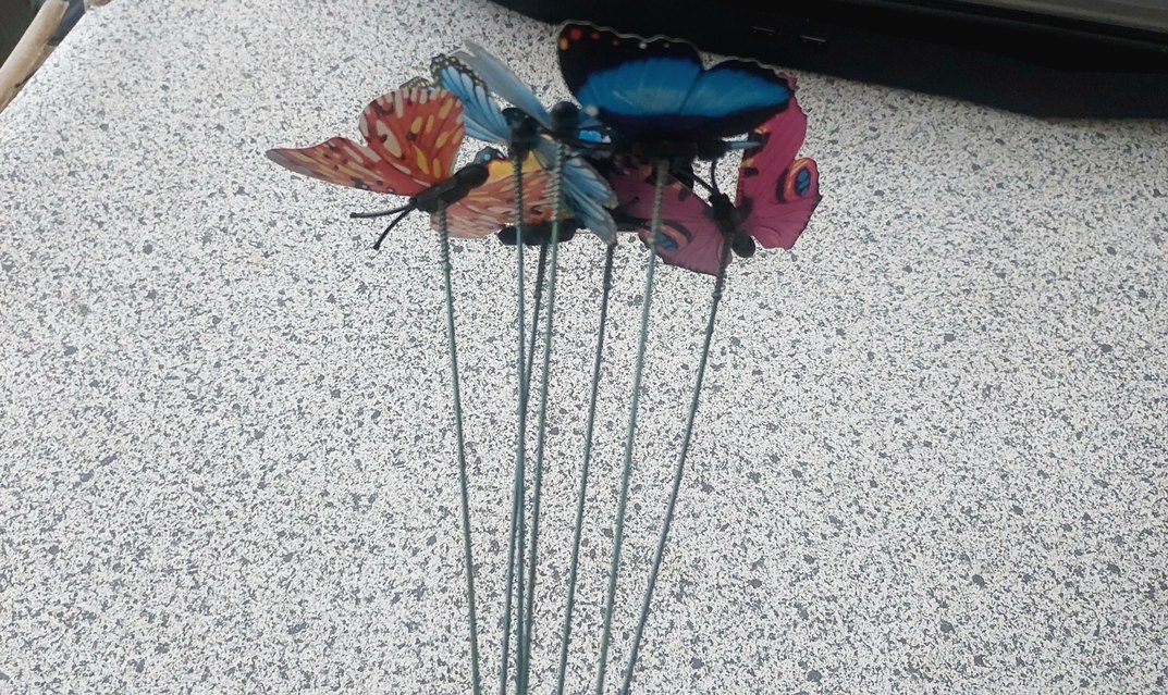 Çok Renkli Kelebek süsleri - Görsel 5