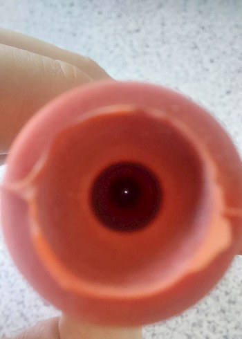 puar lab - Görsel 4