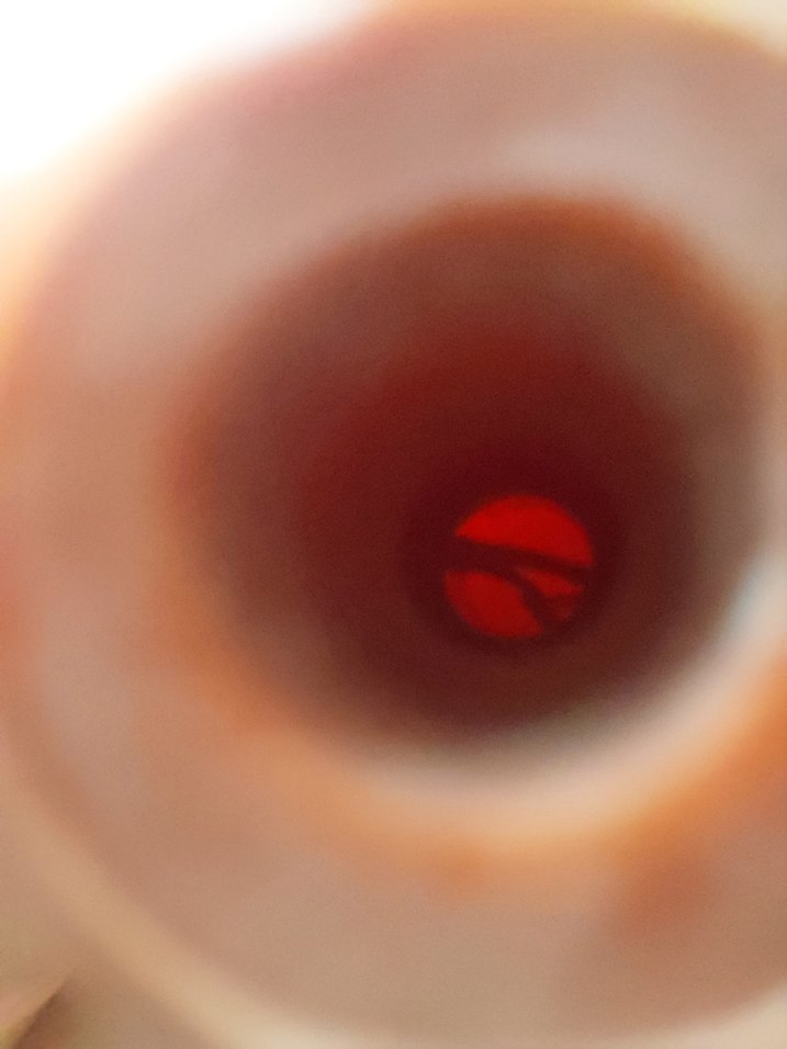 puar lab - Görsel 5