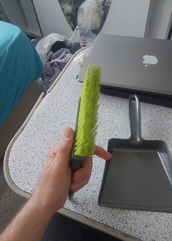 Gri Plastik Küçük Faraş ve Fırça Seti - Görsel 3