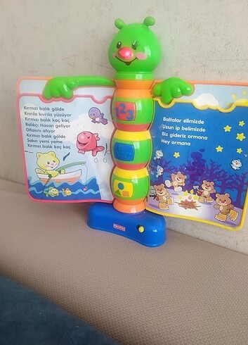 Beden Renk Masalcı tırtıl