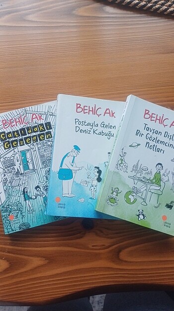 Behiç Ak- Tavşan Dişli Bir Gözlemcinin Notları,Postayla Gelen De