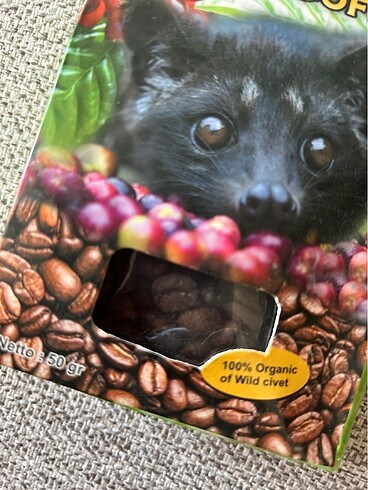  Beden Luwak Coffee