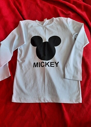 Diğer Mickey