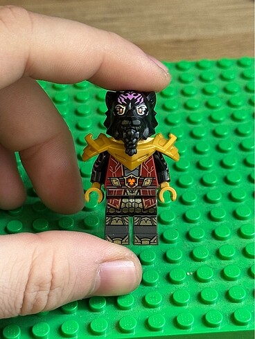 Ninjago ras
