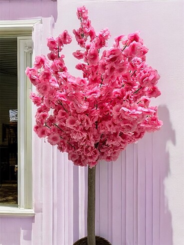 Bahar dalı pembe