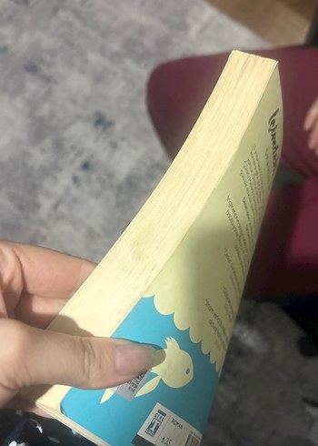 İçimdeki Müzik - Sharon M. Draper - Görsel 2