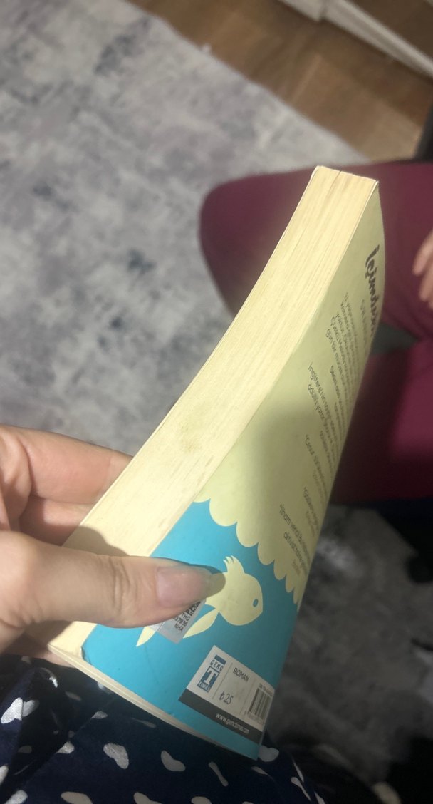 İçimdeki Müzik - Sharon M. Draper - Görsel 2