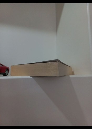 Hapishanenin Doğuşu - Michel Foucault - Görsel 4