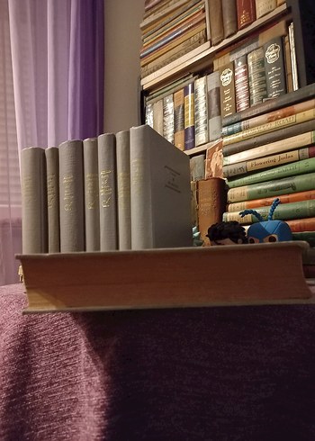 Koleksiyonluk Klasikler seti - Görsel 15