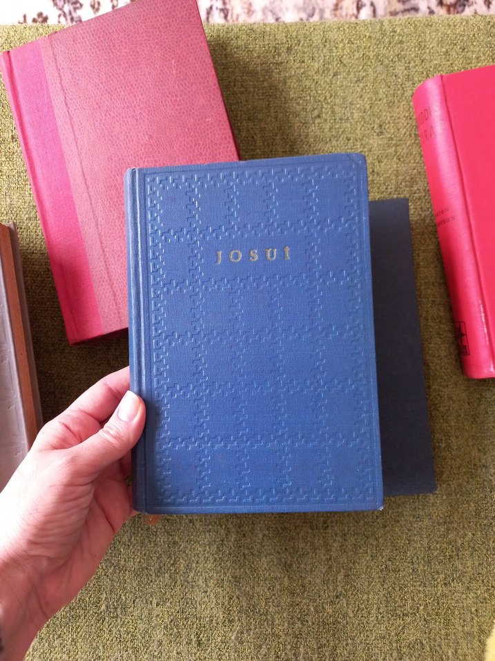 Klasik ve Vintage Romanlar Seti - Görsel 5