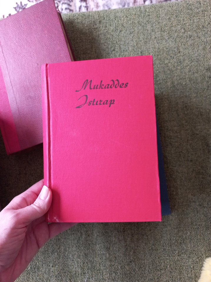 Klasik ve Vintage Romanlar Seti - Görsel 4