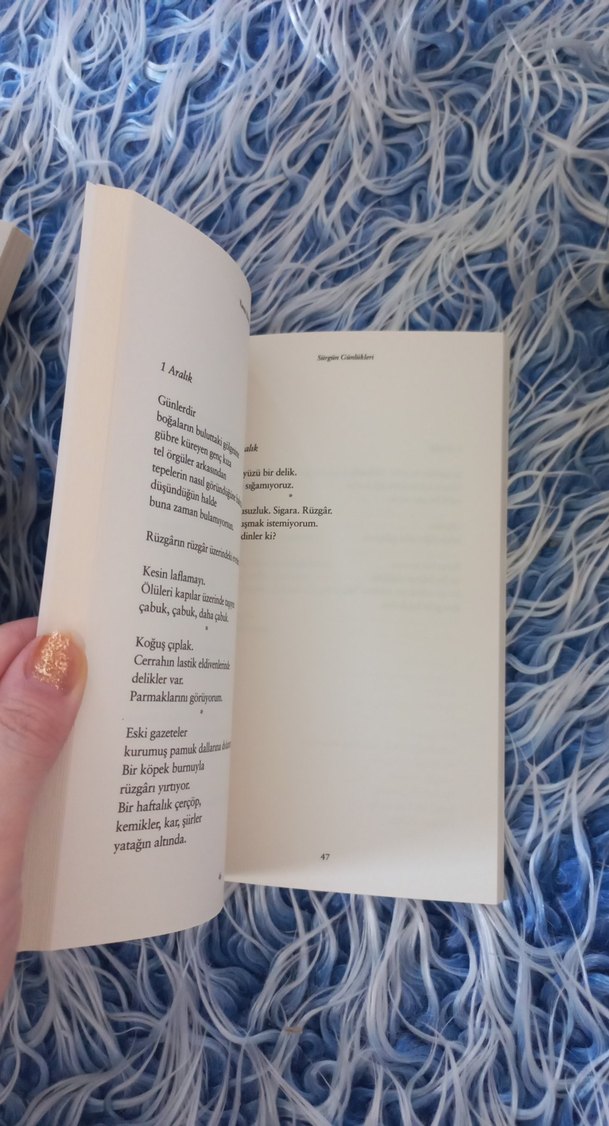 Yannis Ritsos - Sürgün Günlükleri Roman - Görsel 4