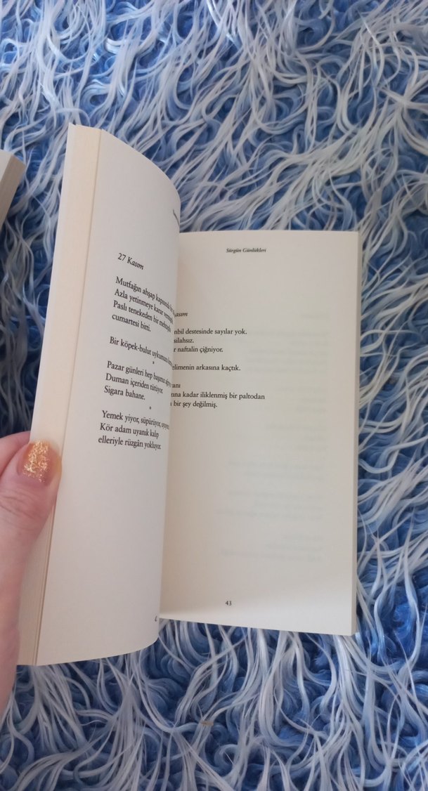 Yannis Ritsos - Sürgün Günlükleri Roman - Görsel 5