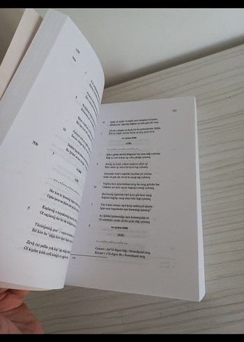 Şiban Han Divanı - İnceleme ve Metin - Görsel 4