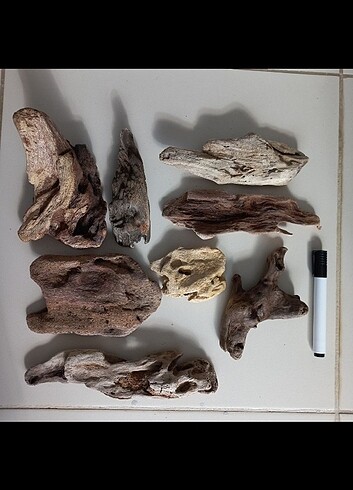 Diğer 20 tane lodos dalı driftwood