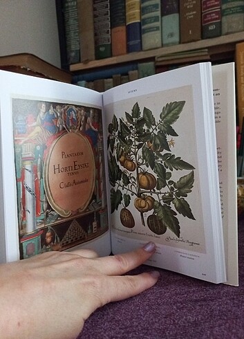 TASCHEN Botanik kitabı ingilizce - Görsel 6