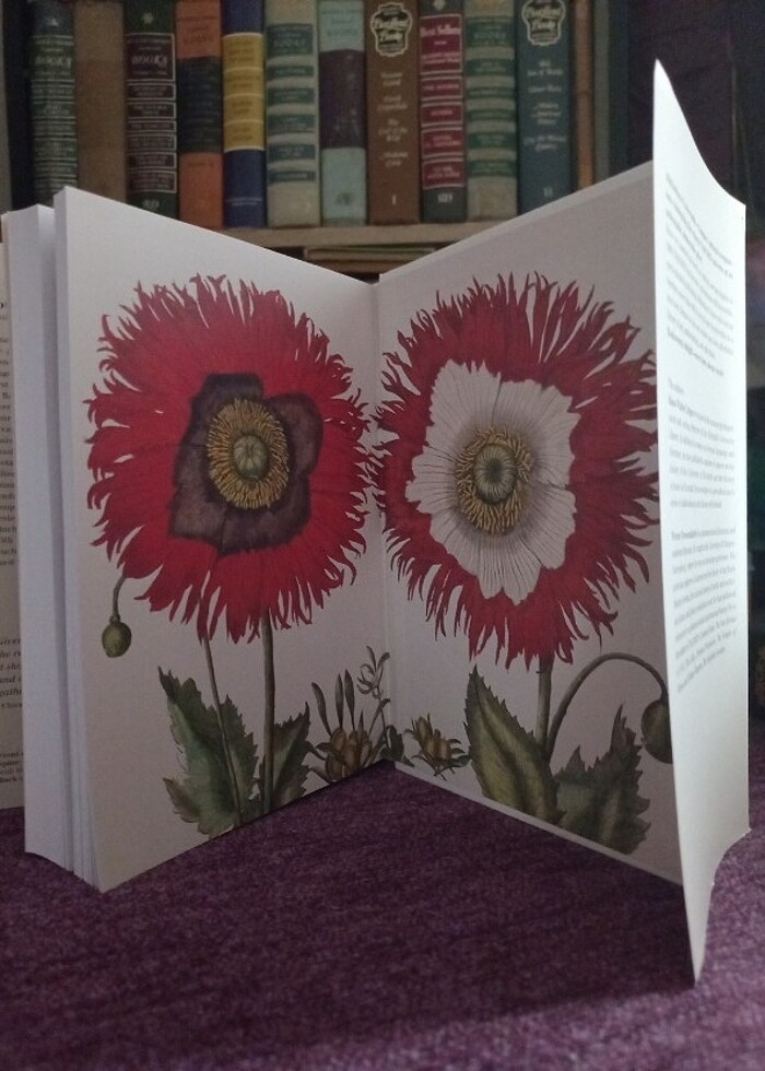 TASCHEN Botanik kitabı ingilizce - Görsel 2