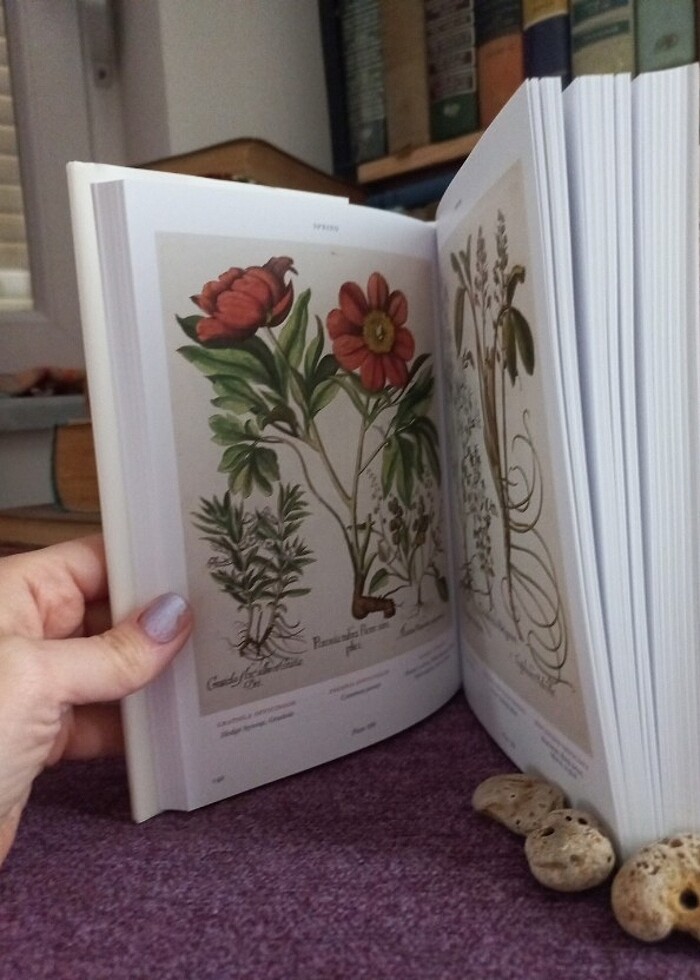 TASCHEN Botanik kitabı ingilizce - Görsel 3