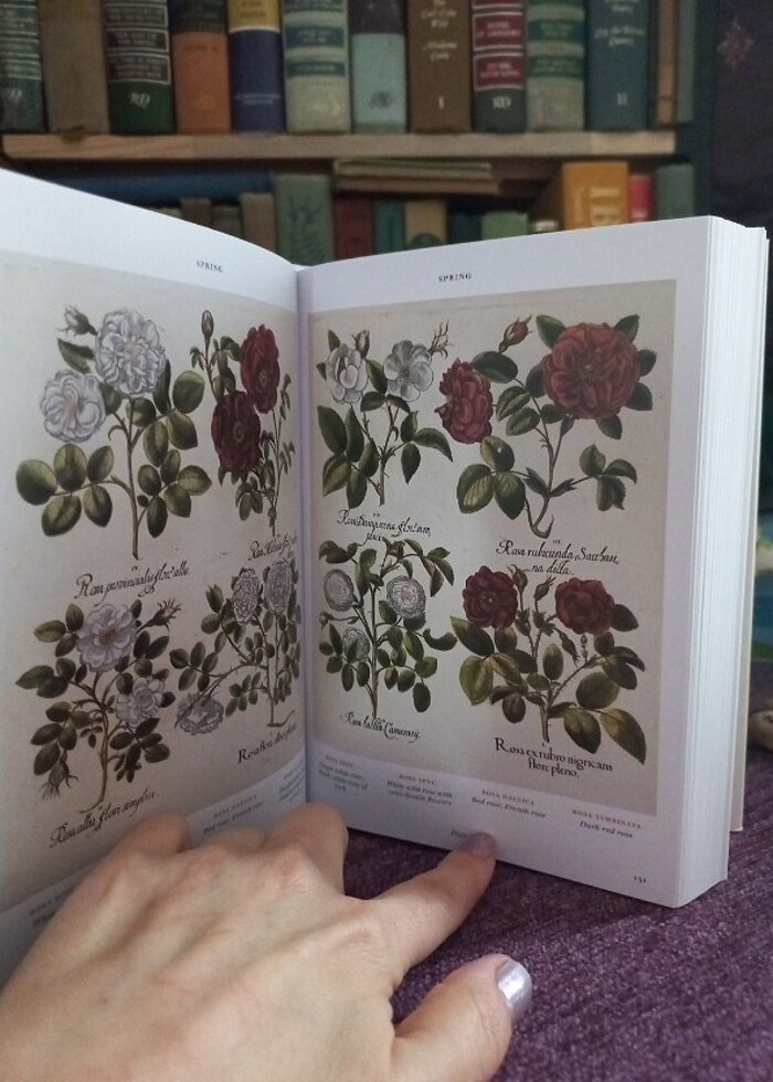 TASCHEN Botanik kitabı ingilizce - Görsel 5