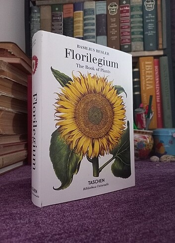 Çeşitli Taschen sanat sinema moda - Görsel 2