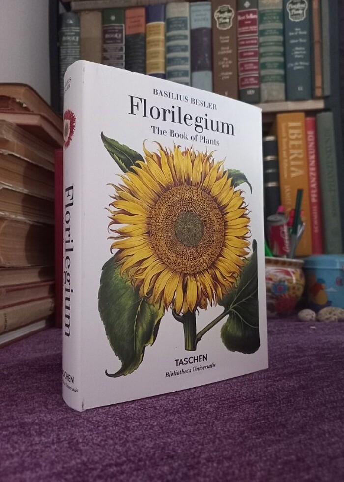 Çeşitli Taschen sanat sinema moda - Görsel 2