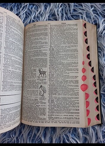 1953 American College ingilizce sözlük antika - Görsel 5