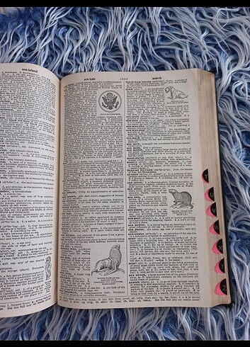 1953 American College ingilizce sözlük antika - Görsel 6